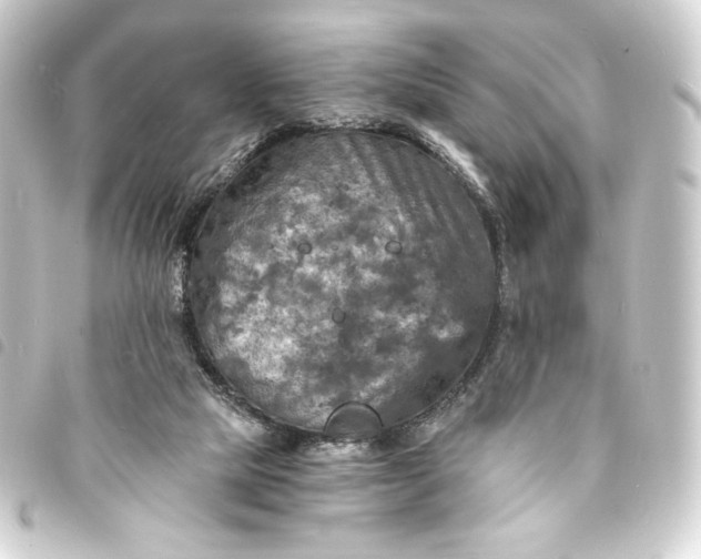 X0000093730065200710301052