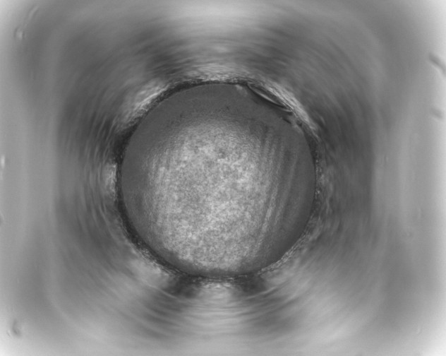 X0000093730066200710301052