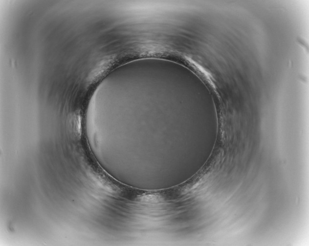 X0000093730067200710301052