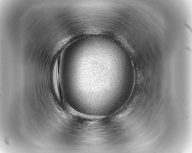 X0000093730068200710301052