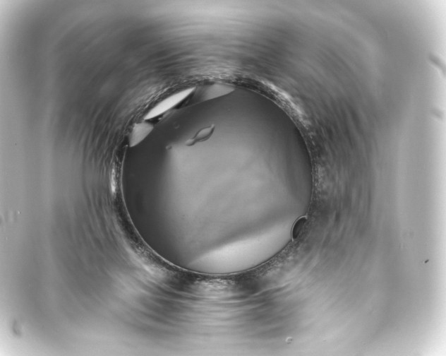 X0000093730069200710301052