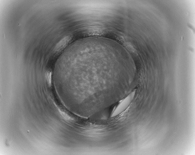 X0000093730070200710301052