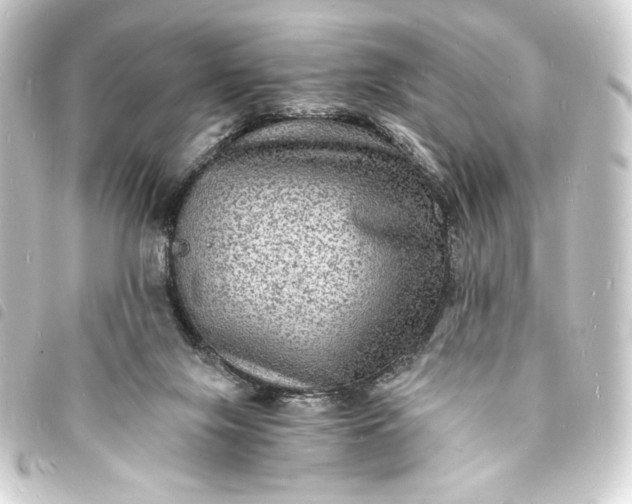 X0000093730071200710301052