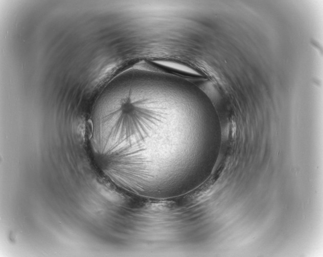 X0000093730072200710301052