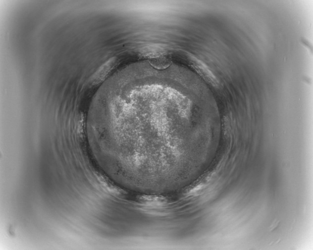 X0000093730073200710301052