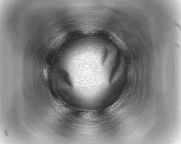 X0000093730074200710301052