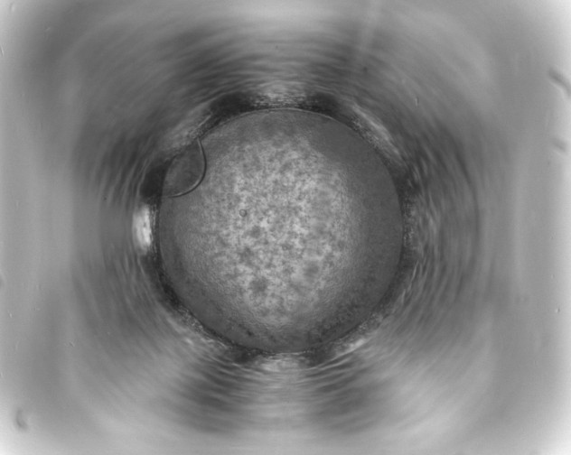 X0000093730075200710301052