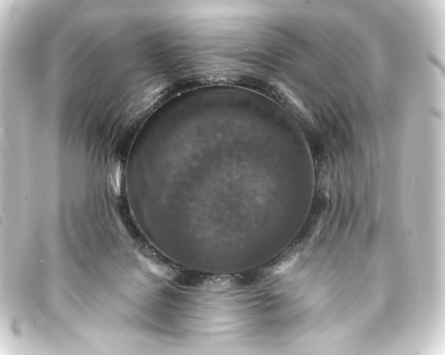 X0000093730076200710301052