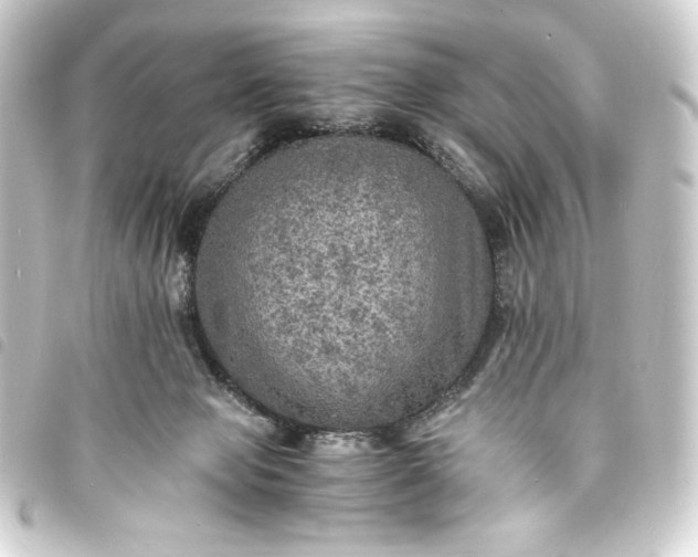 X0000093730077200710301052