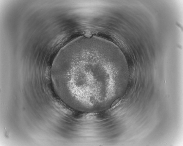 X0000093730078200710301052