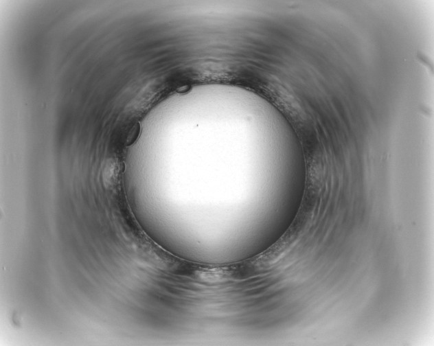 X0000093730079200710301052