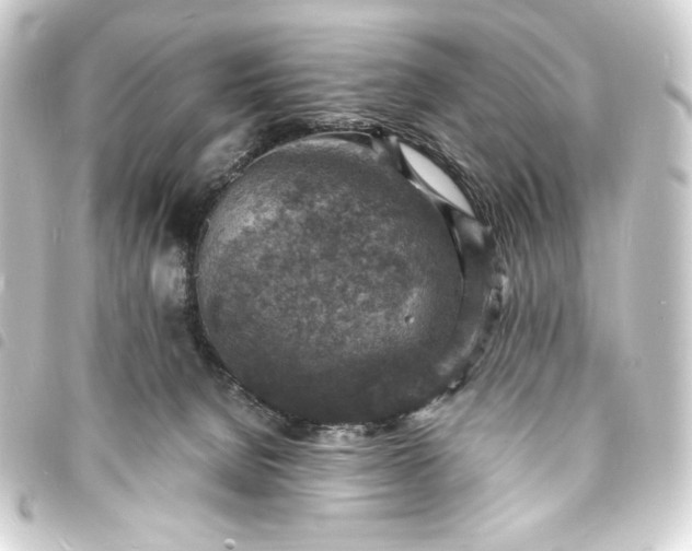 X0000093730080200710301052