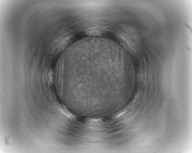 X0000093730081200710301052