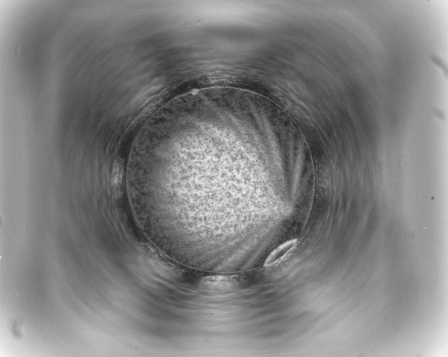 X0000093730082200710301052