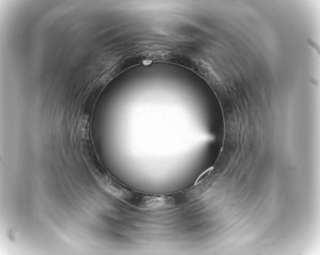 X0000093730083200710301053