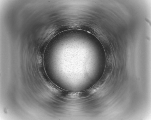 X0000093730084200710301053