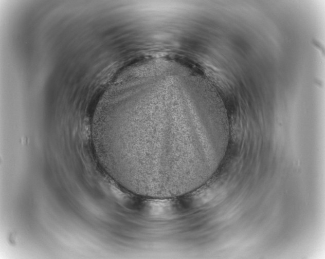 X0000093730085200710301053