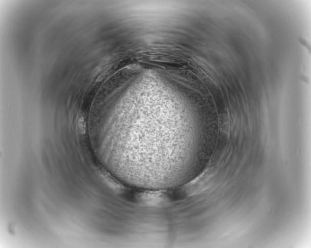 X0000093730086200710301053