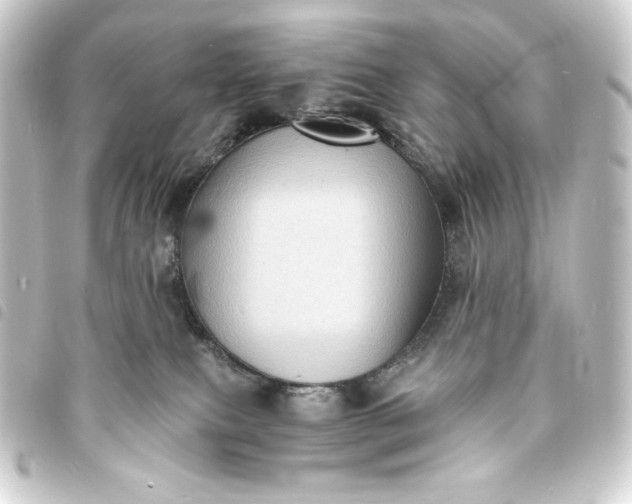 X0000093730087200710301053