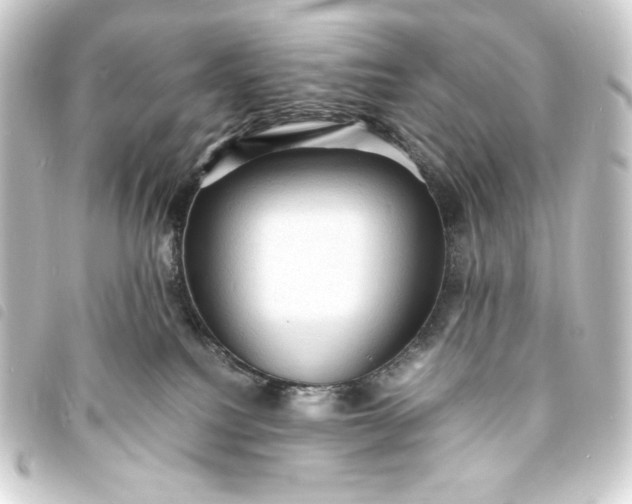 X0000093730088200710301053