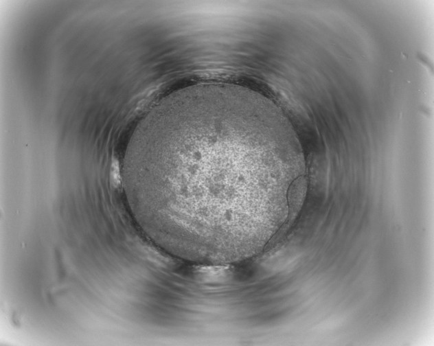 X0000093730089200710301053