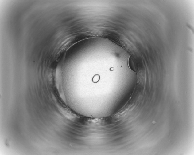 X0000093730092200710301053