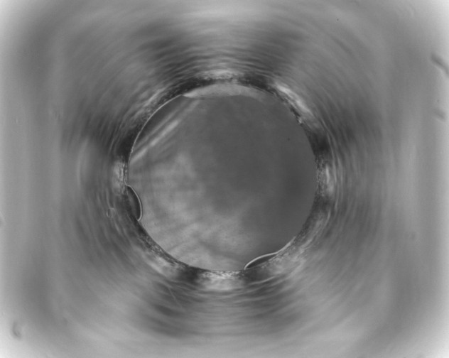 X0000093730093200710301053