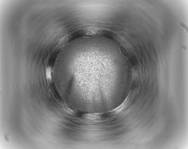 X0000093730094200710301053