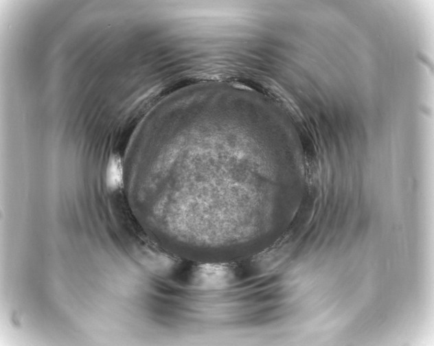 X0000093730095200710301053