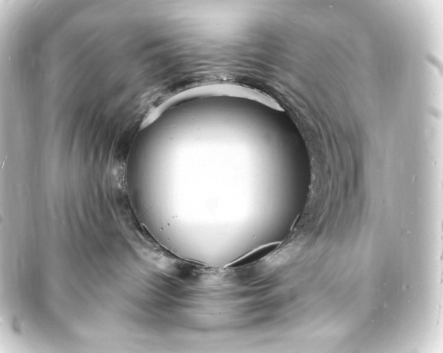 X0000093730096200710301053