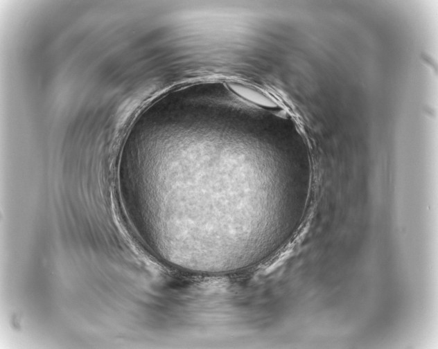 X0000093730097200710301052