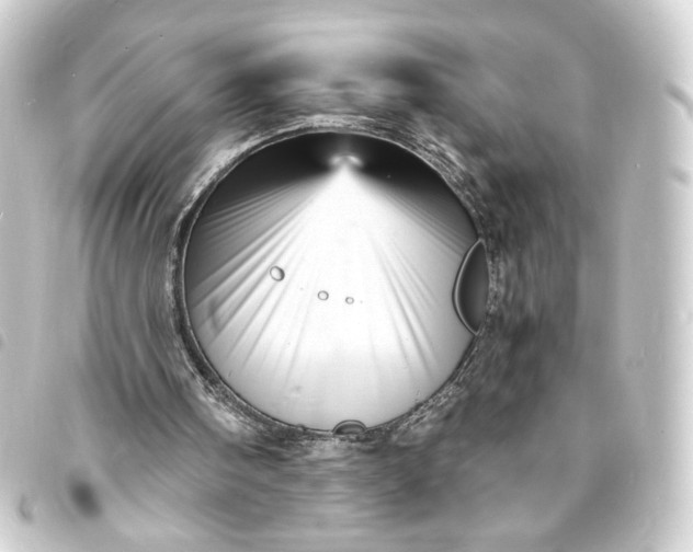 X0000093730098200710301052