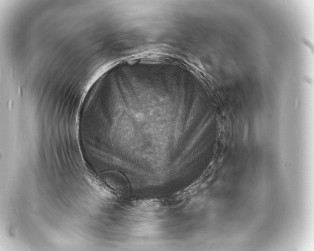 X0000093730100200710301052