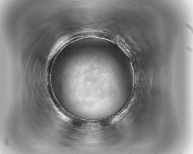 X0000093730101200710301052