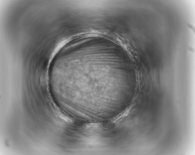 X0000093730102200710301052