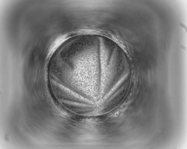 X0000093730103200710301052