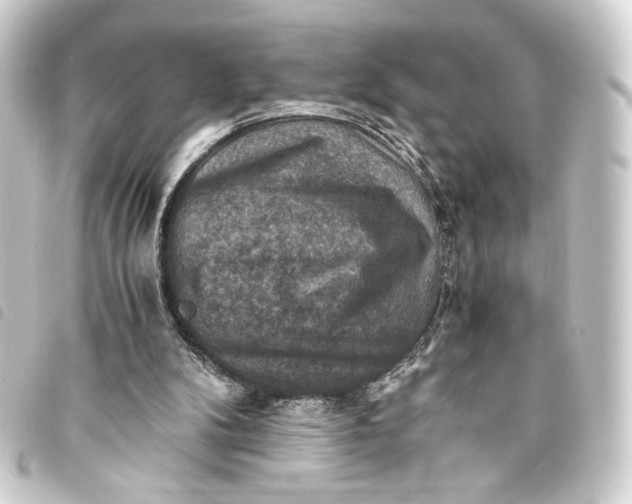 X0000093730104200710301052