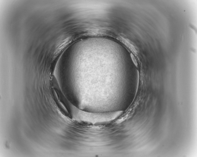 X0000093730105200710301052