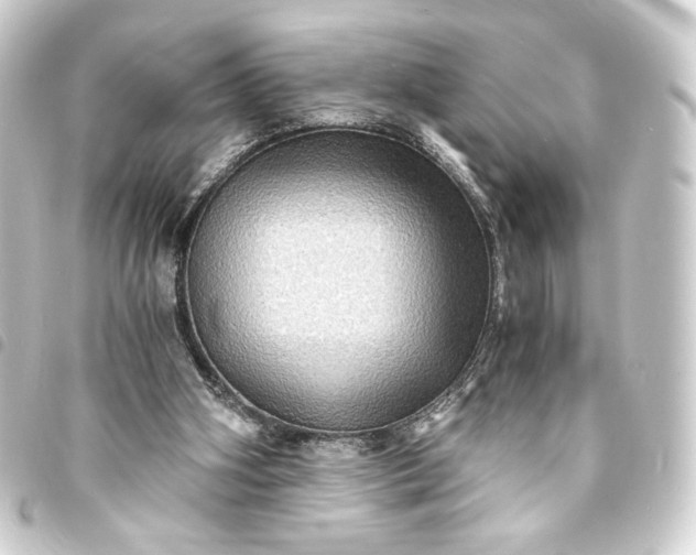 X0000093730106200710301052