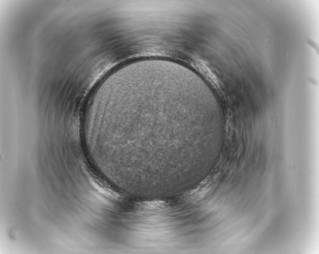 X0000093730108200710301052