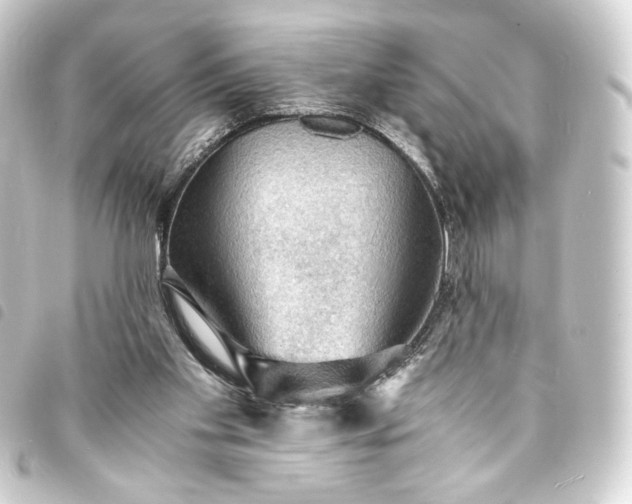 X0000093730109200710301052