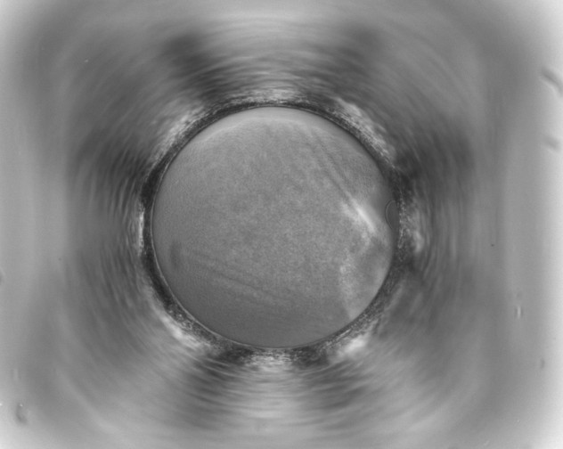 X0000093730110200710301052