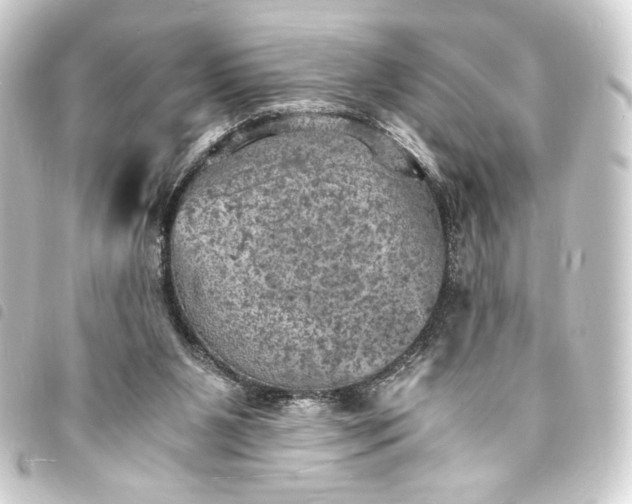 X0000093730111200710301052