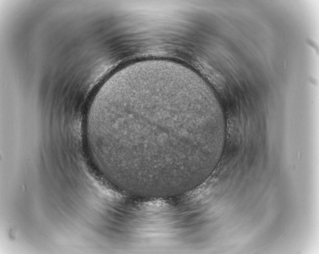 X0000093730112200710301052