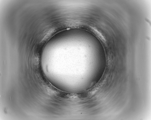 X0000093730113200710301052