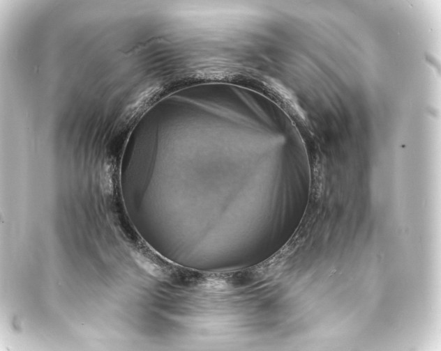 X0000093730114200710301052