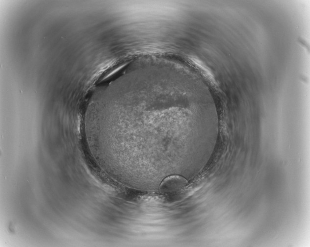 X0000093730115200710301052