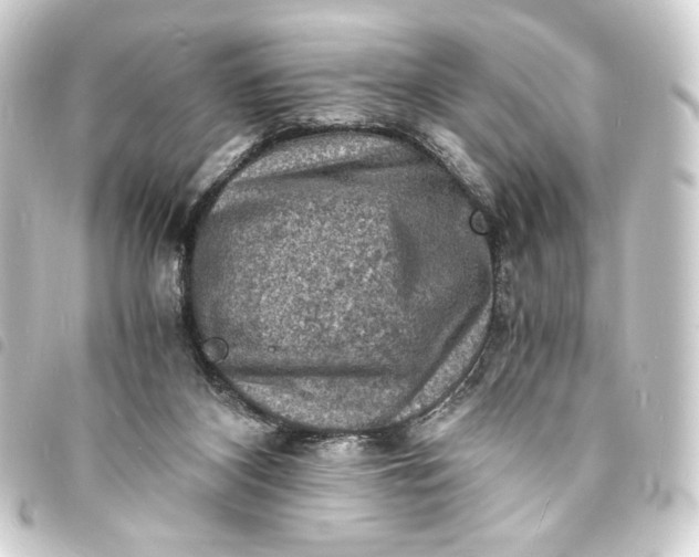 X0000093730116200710301052