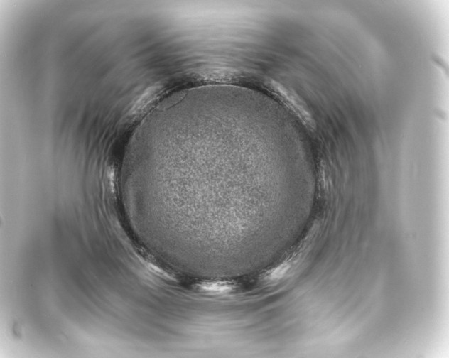 X0000093730117200710301052