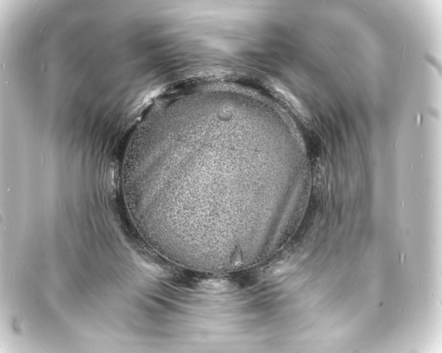 X0000093730119200710301052